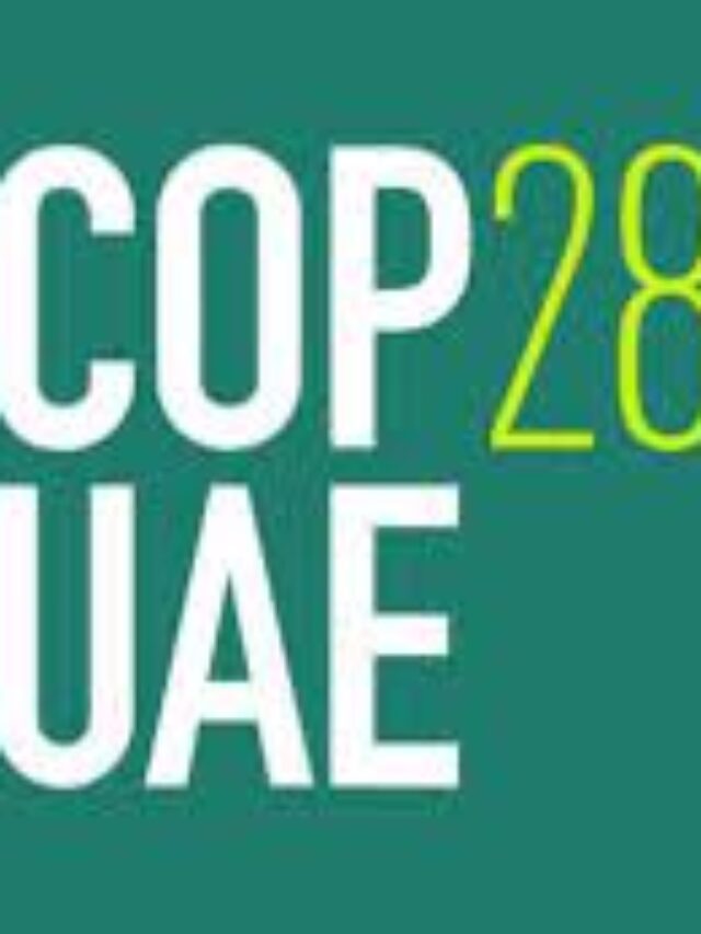 COP 28